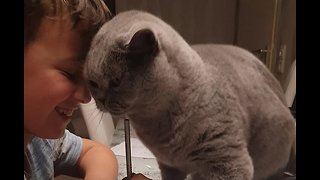 Affectionate Cat Makes Boy's Homework Very Difficult To Do