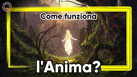 ✨ Come funziona l'anima?