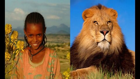 6 Unbelievable WILD Animals That Actually Saved People's Lives