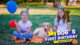 Celebrating My Dog's First Birthday - Dog Birthday Party