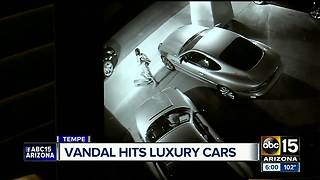Man caught on video vandalizing high-end cars