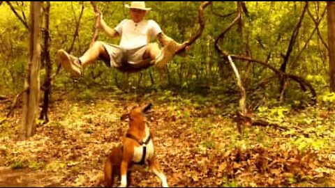 Cane e padrone scoprono l'altalena perfetta in un bosco