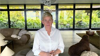 Staff Says Ellen's Mistreatment Of Staff Is 'Common Knowledge'