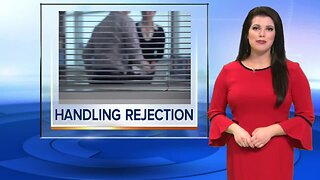 HOW TO GET THE JOB #10: Handling rejection