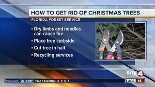 How to safely get rid of Christmas trees after the holiday