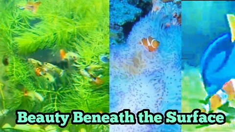 Beauty Beneath the Surface