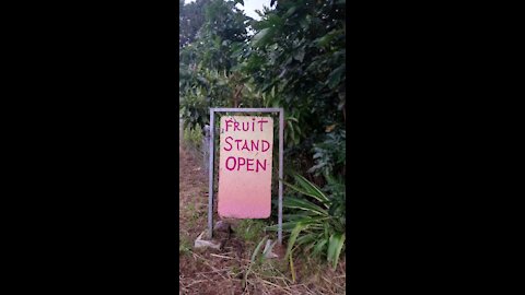 Fruitstand in Hilo, HI