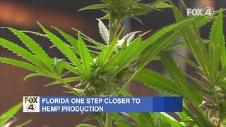 New laws go into effect in Florida July 1st