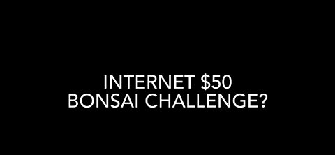 Internet $50 Bonsai Challenge? #BonsaiChallenge