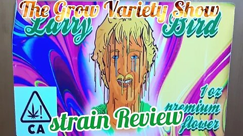 Larry Bird OG strain Review (The Grow Variety Show EP.212)