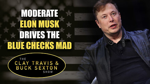 Moderate Elon Musk Drives the Blue Checks Mad