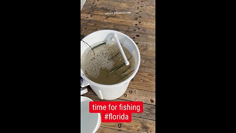 time for #fishing #florida #fish #robert #robertTraveler