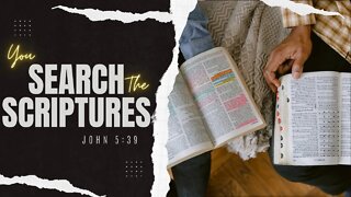 You Search The Scriptures