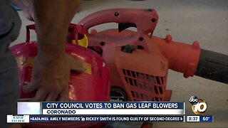 Coronado votes to ban gas leaf blowers