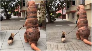 サンフランシスコの道で犬を散歩させるティラノサウルス