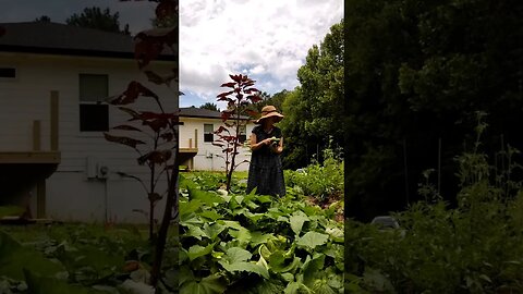 Work in the Garden with Me! 💚 #gardening #gardener