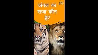 शेर और बाघ कैसे समान और कैसे एक दूसरे से अलग है ?