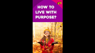 How To Find Your Purpose In Life