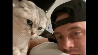 Cat terrified of being licked