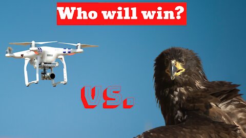 Eagles x Drones - The Battle
