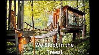 We Stayed In A Magical Treehouse! / Triplet Update they will be 2 next month!