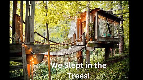 We Stayed In A Magical Treehouse! / Triplet Update they will be 2 next month!