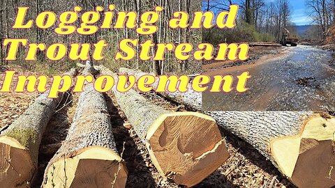 Quality Logging and Trout Stream Improvements