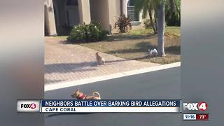 Neighbors blame dogs, not bird for barking in Cape Coral