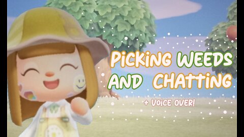 CHATTING WHILE PICKING WEEDS // ACNH // ANIMAL CROSSING NEW HORIZONS