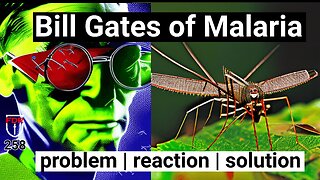 GMO Mosquitos and Malaria, the evidence the next plandemic - Classic Order out of Chaos