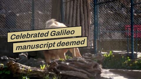 Celebrated Galileo manuscript deemed a fake