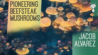 Garden State Mushrooms - Pioneering Cultivation of Beefsteak Mushrooms | Jacob Alvarez