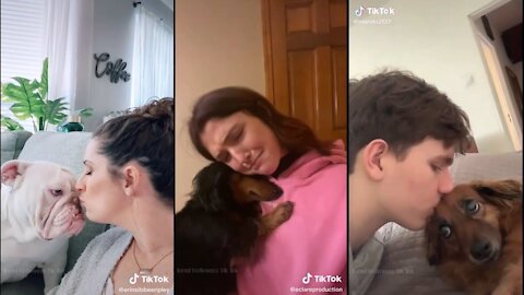 Try Kissing Your Pet On The Head And See Their Reaction