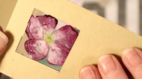 How to use the pressed flowers for your journals