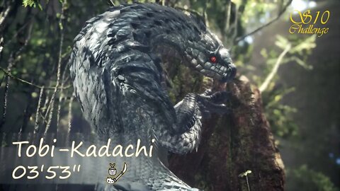 Tobi - Kadachi (03'53'') | Insect Glaive | Monster Hunter World: Iceborne | "Sub 10 Challenge"