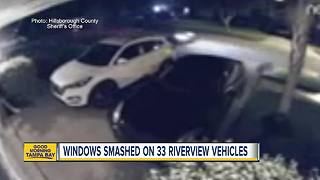 Over 30 vehicles damaged by Riverview vandals