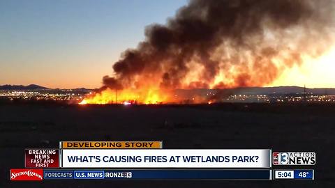 Wetlands Park fire 100% contained