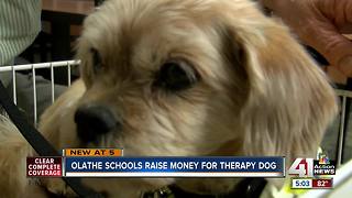 Olathe Public Schools to bring therapy dog to students