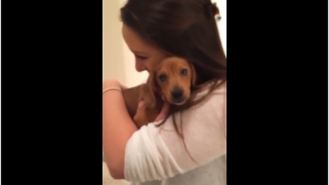 Girlfriend bursts into tears after new puppy surprise
