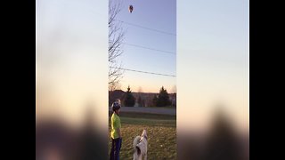 Dog Does NOT Trust Hot Air Balloon