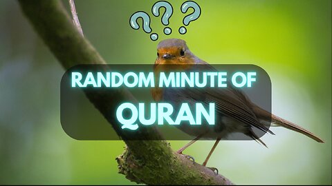 #RandomMinuteQuran , #RandomMinuteislamicLectures , #RandomMinuteislam