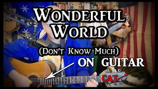 Wonderful World (Don't Know Much) on Guitar (with my cat)