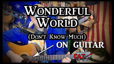 Wonderful World (Don't Know Much) on Guitar (with my cat)