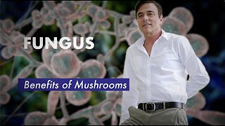 Fungus – Benefits of Mushrooms