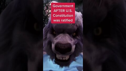 If the U.S. government was a doge, the constitution was a treat