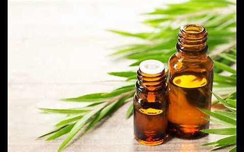 6 Uses for Tea Tree Oil