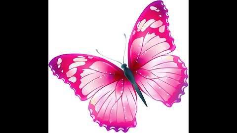 Butterfly Vivarium