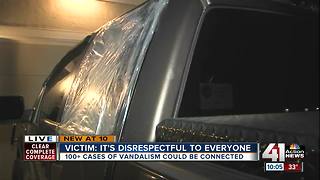 Dozens of LS cars vandalized with air rifle
