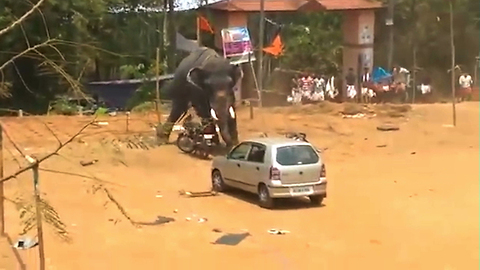 Angry Elephant Topples Car