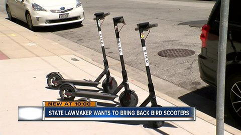 State proposal would bring back Bird scooters